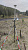 RGK SR1 с RGK SC100 и вехой RGK GLS 18 - комплект GNSS приемника